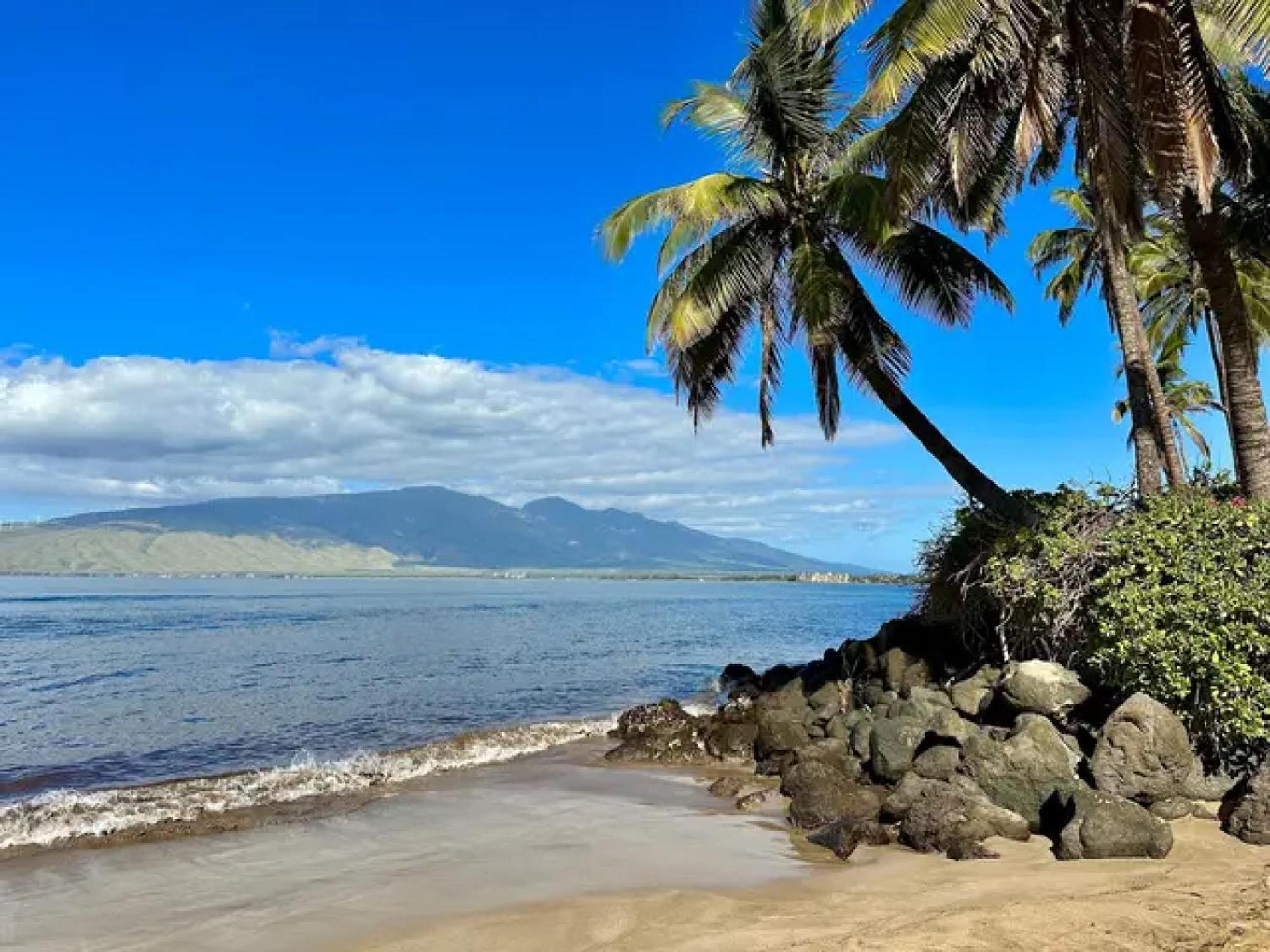 Cozy Maui Studio Retreat Just Steps To The Sand! Кихеи Екстериор снимка